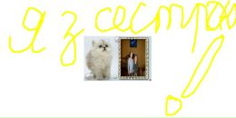 Аліна Манич фотография #23 (источник - https://vk.com/id130848007)