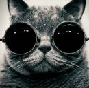 Марія Журавель фотография #37 (источник - https://vk.com/id157660329)
