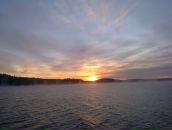 Фотография Саломон Тани