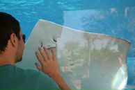 Фотография Алюшева Рустама