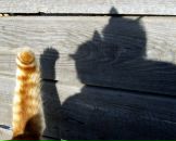 Фотография Зеленской Татьяны