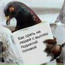 Иван Субботин фотография #17 (источник - https://vk.com/id73079331)