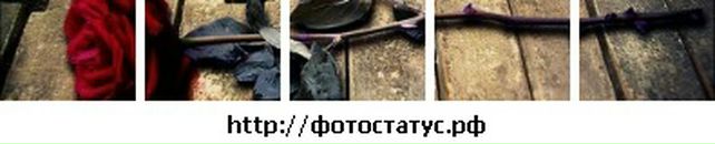 Ніколетта Куташі фотография #16 (источник - https://vk.com/id24972976)