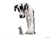 Вірунця Вірунця фотография #2 (источник - https://vk.com/id55078298)