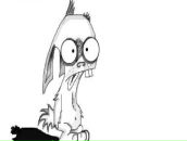 Фотография Корниенко Максима