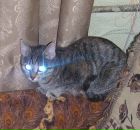 Фотография Лузина Павла