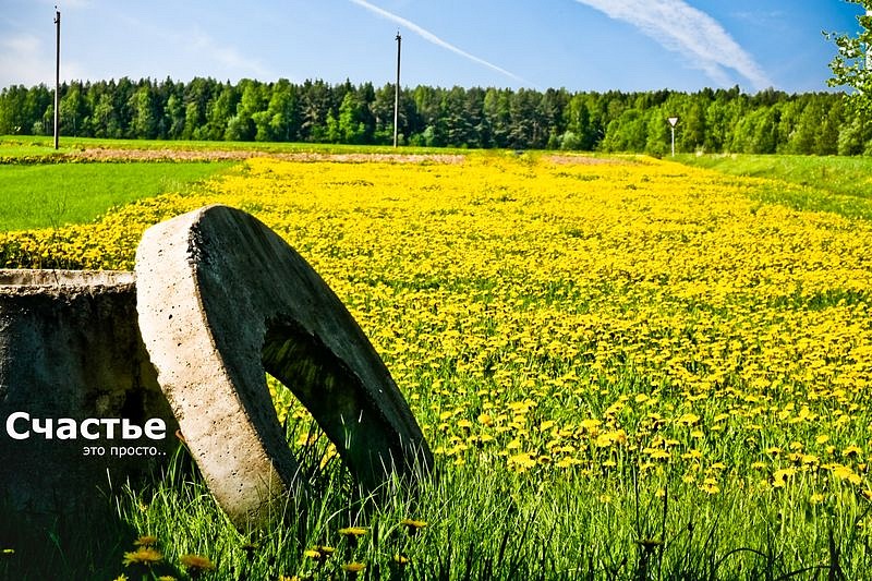 Денис Никитин фотография #10