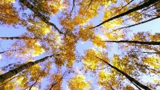 Фотография Славова Георги