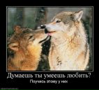 Фотография Волощука Максима