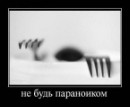 Дима Черников фотография #13 (источник - https://vk.com/id22731871)