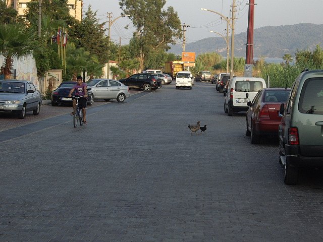 Дмитрий Do-Love фотография #39