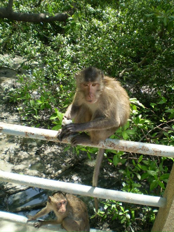 Александр Пак фотография #13