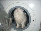 Фотография Решетова Андрея