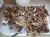 Григорій Андрієць фотография #50 (источник - https://vk.com/id61823057)