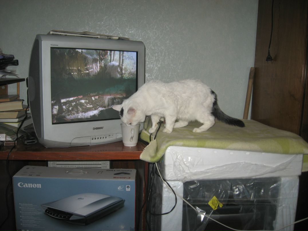 Андрюша С******* фотография #6