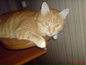 Сергей Воробьев фотография #14 (источник - https://vk.com/id3081387)