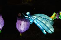 Фотография Чемодановой Камилы