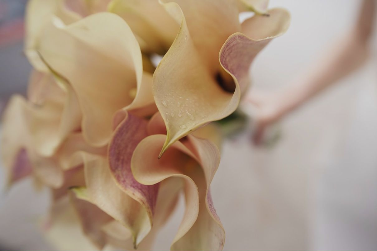 Маша Савельева фотография #33