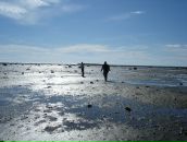 Анна Журавлёва фотография #24 (источник - https://vk.com/id461369)