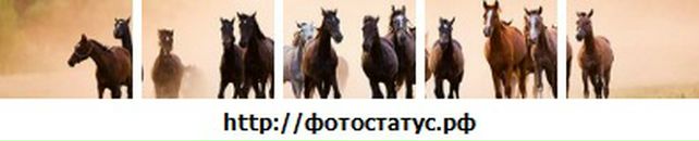 Віктор Андрощук фотография #32 (источник - https://vk.com/id64900016)