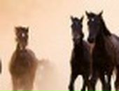 Віктор Андрощук фотография #34 (источник - https://vk.com/id64900016)