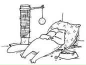 Фотография Тарасова Николая