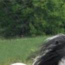 Даша Матинян фотография #32 (источник - https://vk.com/id34196743)