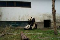 Фотография Заграбяна Романа