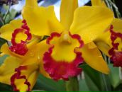 Фотография Чемакин Петр