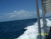 Олександр Лакімен фотография #41 (источник - https://vk.com/id6137813)