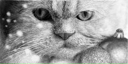 Міша Карасьов фотография #46 (источник - https://vk.com/id40385448)