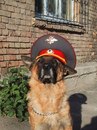 Розалі Калина фотография #15 (источник - https://vk.com/id152710540)