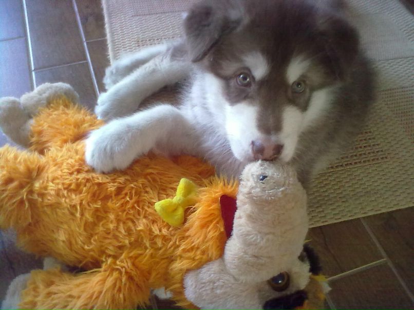 Александр Автаев фотография #10