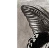 Іринка Крута фотография #9 (источник - https://vk.com/id133845186)