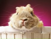 Фотография Орловцевой Натальи