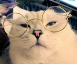 Оля Василенко фотография #2 (источник - https://vk.com/id738812)