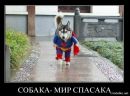 Андрій Трачук фотография #24 (источник - https://vk.com/id31964558)