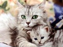 Сергій Прокопишин фотография #35 (источник - https://vk.com/id66292079)
