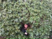 Фотография Соболевой Татьяны