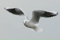 Фотография Марунич Дарьи