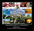 Віктор Головачко фотография #36 (источник - https://vk.com/id47013724)