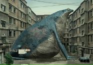 Фотография Павлова Павла