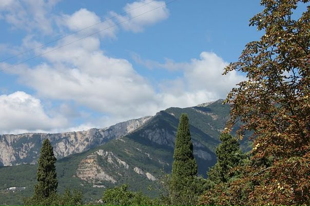 Игорь Солодовников фото №7