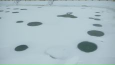 Коля Пугінець фотография #49 (источник - https://vk.com/id58485295)