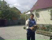 Сергій Хрульов фотография #10 (источник - https://vk.com/id144194004)