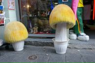 Фотография Соловьёвой Яны