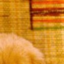 Катя Ходаківська фотография #48 (источник - https://vk.com/id141582298)