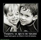Фотография Кривошея Александра