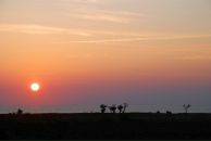 Фотография Шмараевой Елены