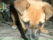 Евгений Яценюк фотография #42 (источник - https://vk.com/id5135080)